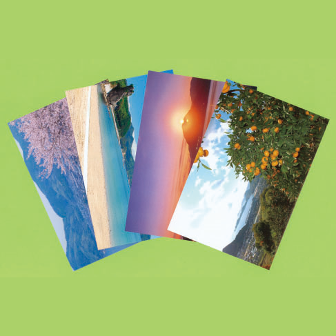 金魚島ふぉとカード