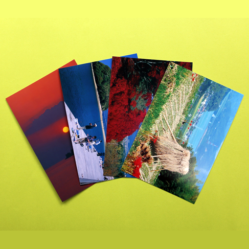 金魚島ふぉとカード